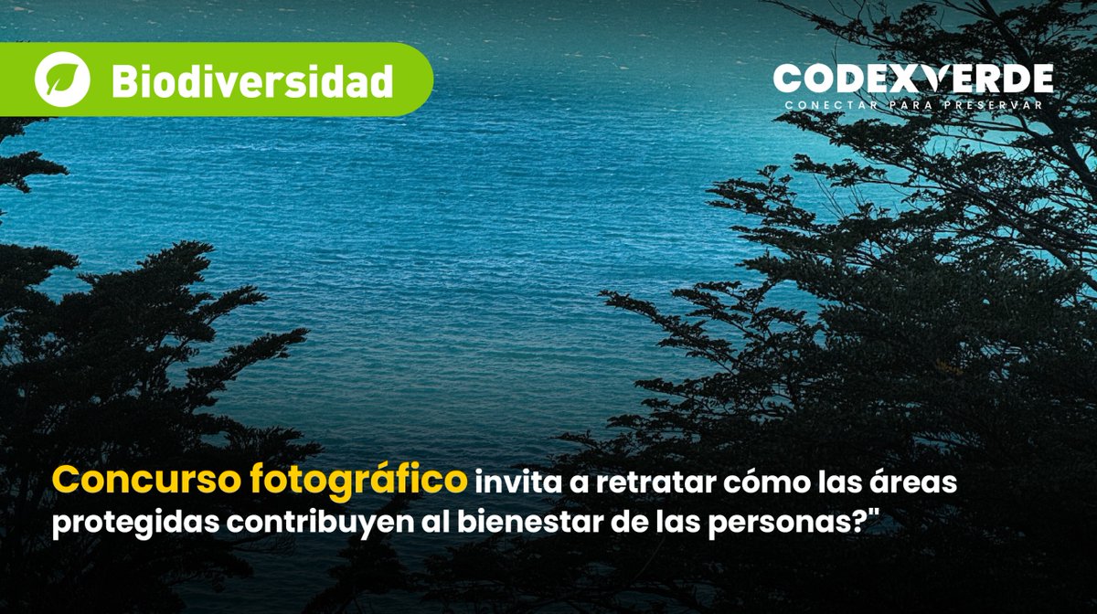 CodeXverde's tweet photo. 📸🏞️¿Cómo contribuyen las áreas protegidas a nuestra calidad de vida? Esa es la pregunta que inspira la quinta versión del concurso, que invita a fotógrafos y fotógrafas profesionales y aficionados a retratar la relación entre las personas y la naturaleza protegida https://t.co/z309zTCnaw