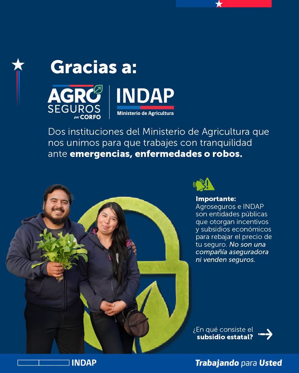 Agroseguroscl's tweet photo. ¿Quieres proteger tu producción agrícola, pero te preocupa el costo del seguro?  

¡El Gobierno de Chile te apoya! 

Desliza para que estés al tanto de todo lo que debes saber al respecto —> 

 Conoce más en https://t.co/ESnsFBLzNs

#Agroseguros #INDAP #Minagri #Corfo  #Subsidio https://t.co/H4R3Zvw7N0