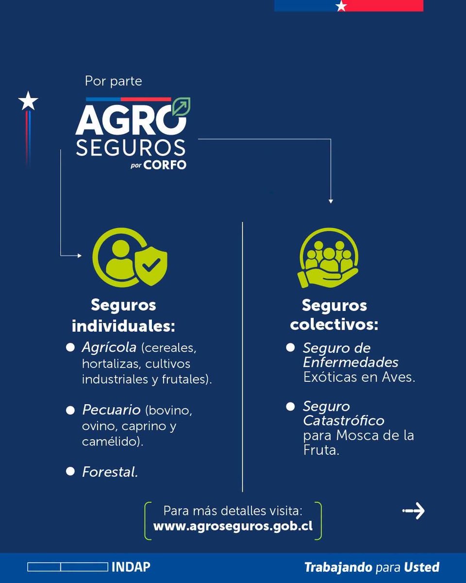 Agroseguroscl's tweet photo. ¿Quieres proteger tu producción agrícola, pero te preocupa el costo del seguro?  

¡El Gobierno de Chile te apoya! 

Desliza para que estés al tanto de todo lo que debes saber al respecto —> 

 Conoce más en https://t.co/ESnsFBLzNs

#Agroseguros #INDAP #Minagri #Corfo  #Subsidio https://t.co/H4R3Zvw7N0