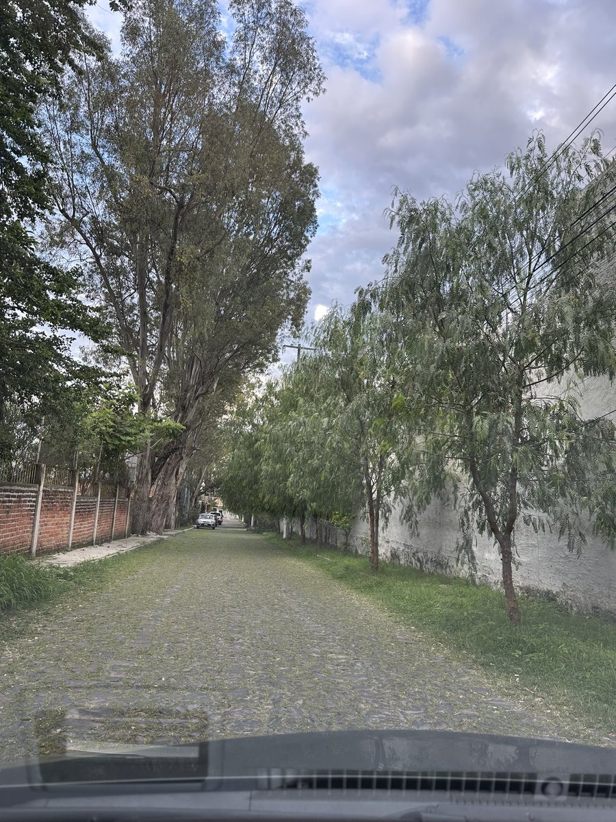 georgetalavera's tweet photo. @ServiciosZap @ZapopanGob @GobiernoJalisco https://t.co/nl9jSGgaYJ