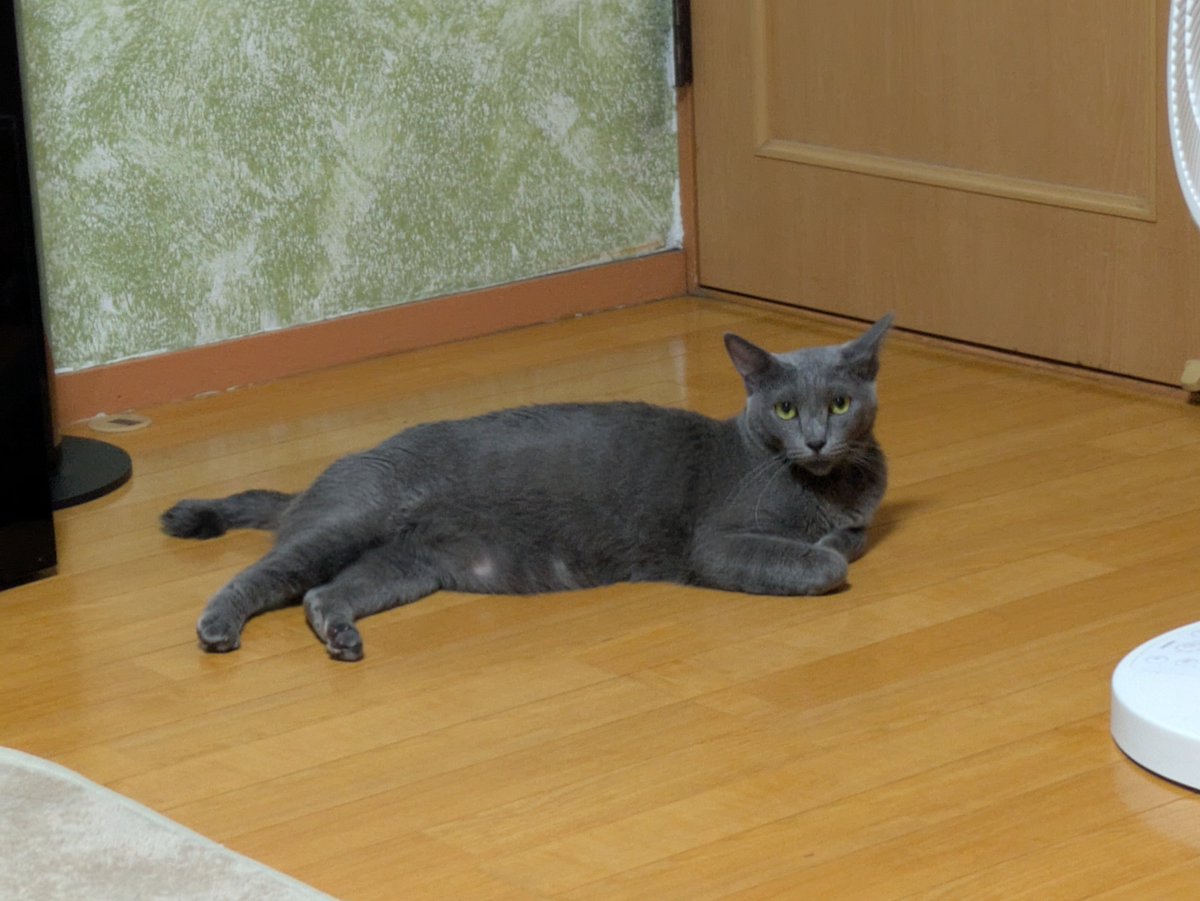 888goody's tweet photo. 今日は40℃予想😵‍💫🔥頑張りましょう https://t.co/3m8AZsHSnV