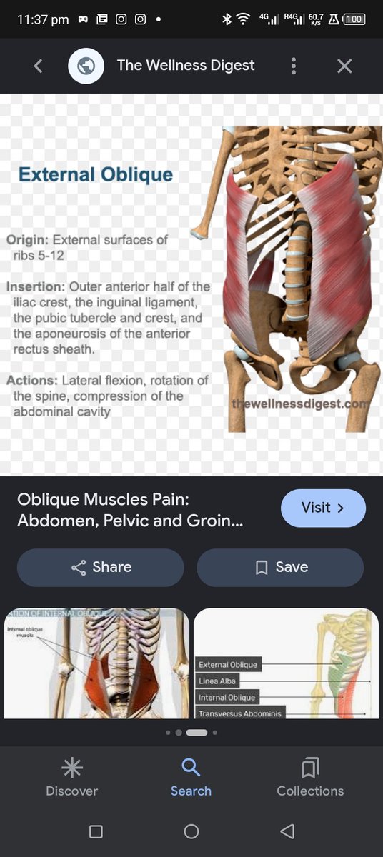 AakashHanumant1's tweet photo. WHiCH PLANET CRiMiNALS,SCOUNDRELS ARE DiSCONNECTiNG MY OBLiQUE MUSCLE CONTRACTiONS WiTH GLUTEUS MEDiUS MUSCLE,WHOEVER DiSCONNECTiNG LATiSSiMUS MUSCLE CONTRACTiONS WiTH iLiAC CREST MUSCLE MUST BE MURDERED AS THEiR CONViNCiNG THEORY STORY OF STRENGTHiNG ME WONT BE BELiEVED BY WiSER https://t.co/ZfEy6OA5sC