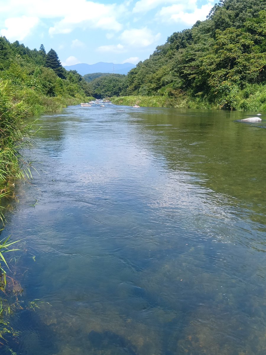108urouge3's tweet photo. 川(*´ω｀*) https://t.co/xcCGgfoNzH