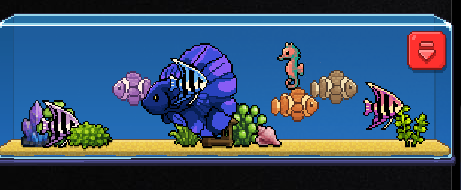 aoao0126's tweet photo. クマノミ3種そろった #PCFISH https://t.co/LDCNax2Lmr