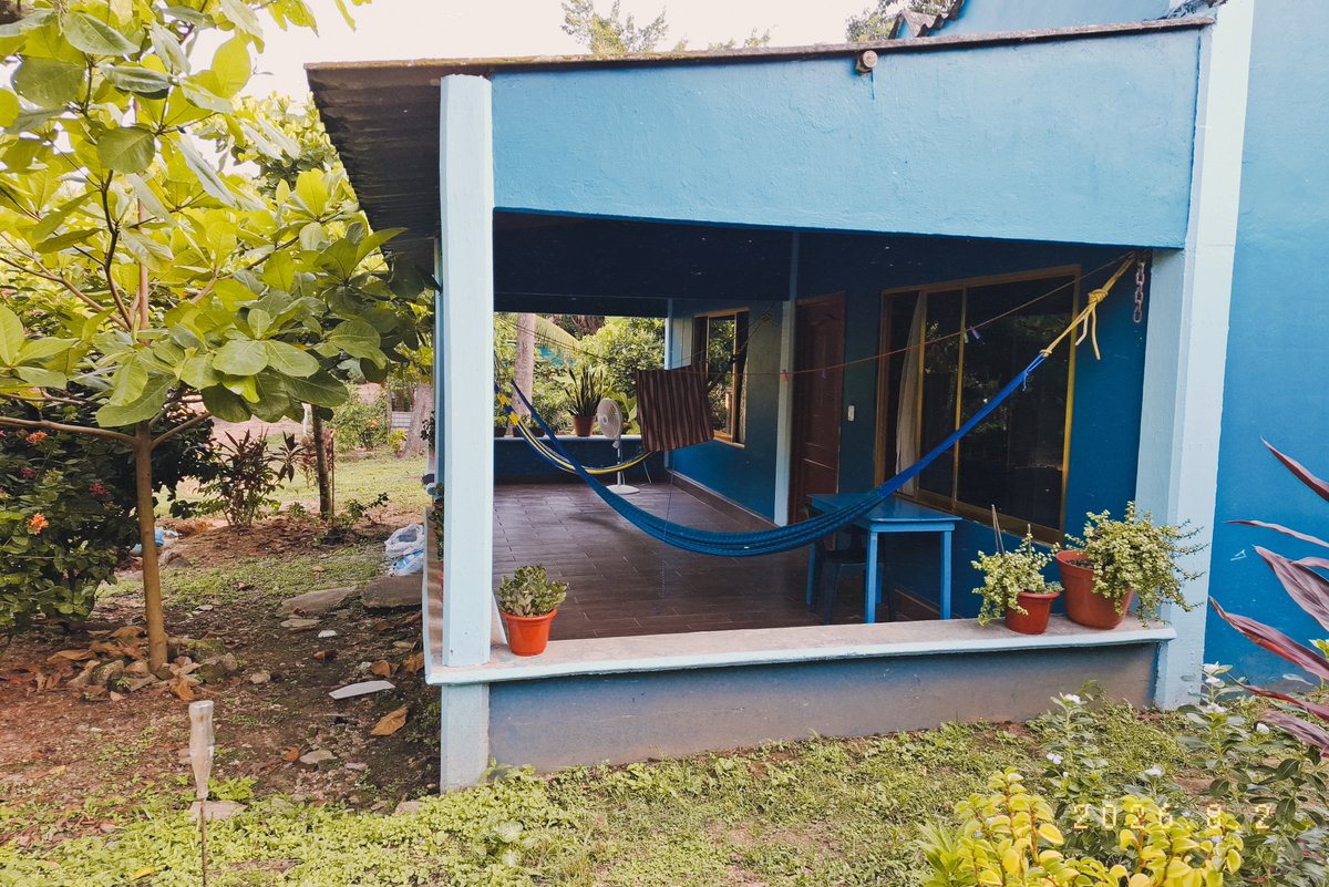 ximenaaarix's tweet photo. https://t.co/TDVl8NF6lq 
los días donde mas estable estuve emocionalmente fueron los días de 
verano que pase en veracruz, en mi rancho, con mi familia, simplemente mi tierra. En otro vida tuve una vida rumbera jarocha al cien por ciento, te amo veracruz 🦀🫀🌞 https://t.co/D2fZi179CT