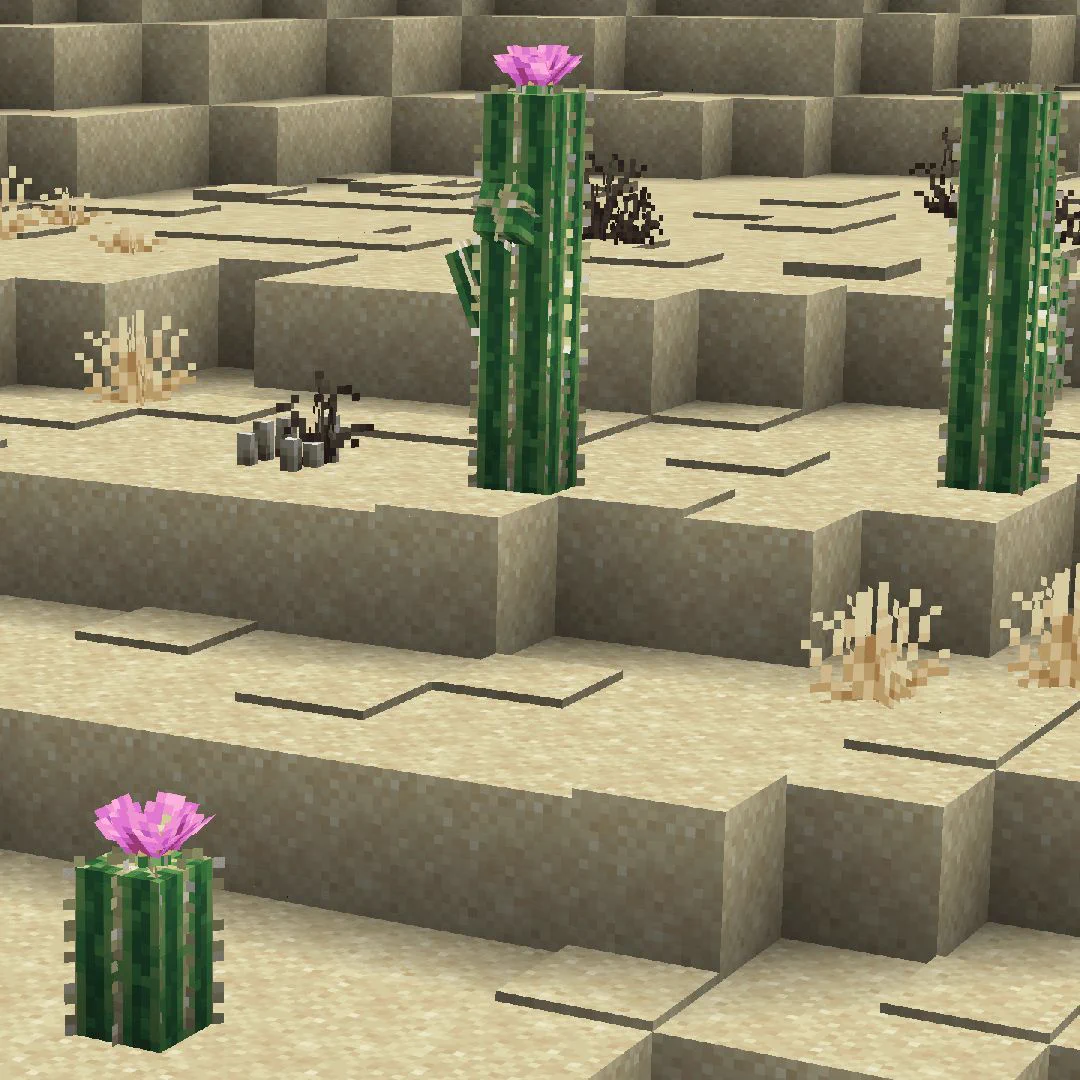 A Minecraft screenshot of a desert