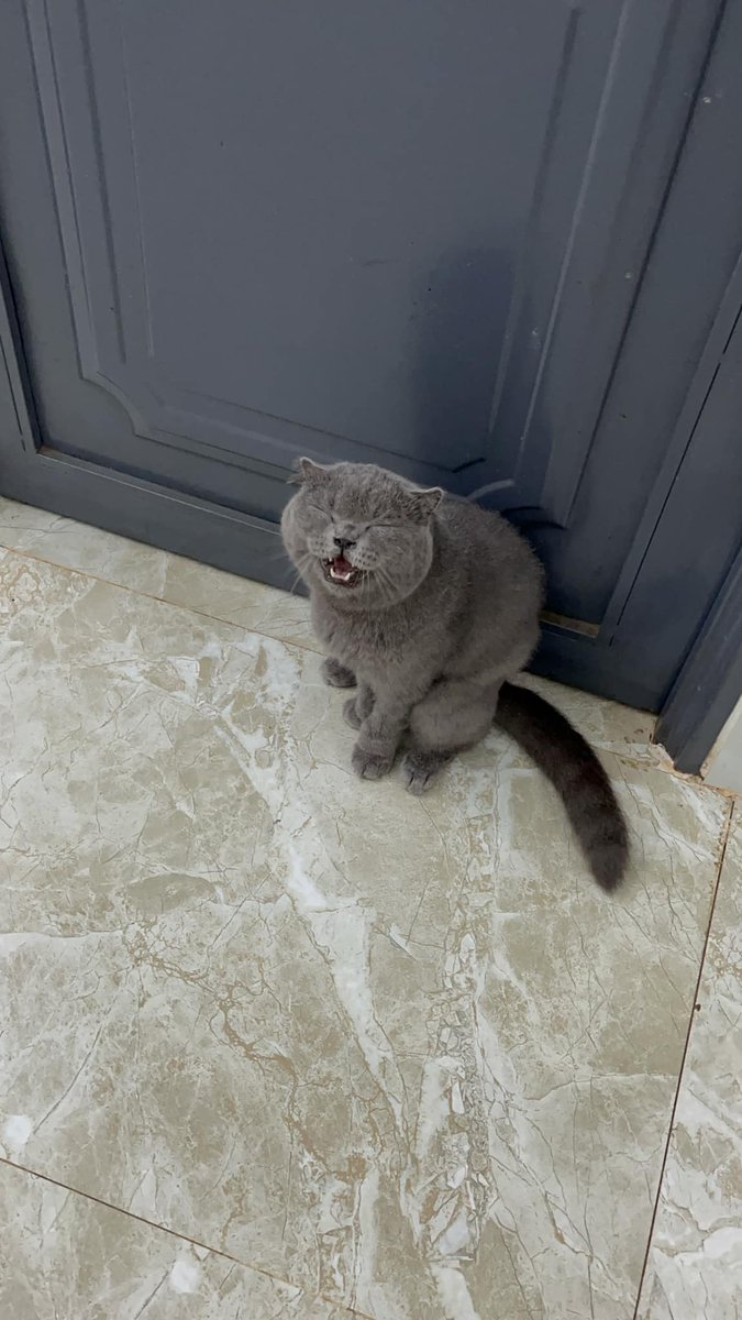 rakrak_rt7's tweet photo. ふいに込み上げるものがあって、思わず笑みが零れた。理屈なんてどうでもいい。ただ、そうありたいだけなのかも。 https://t.co/07tsUxw9nP