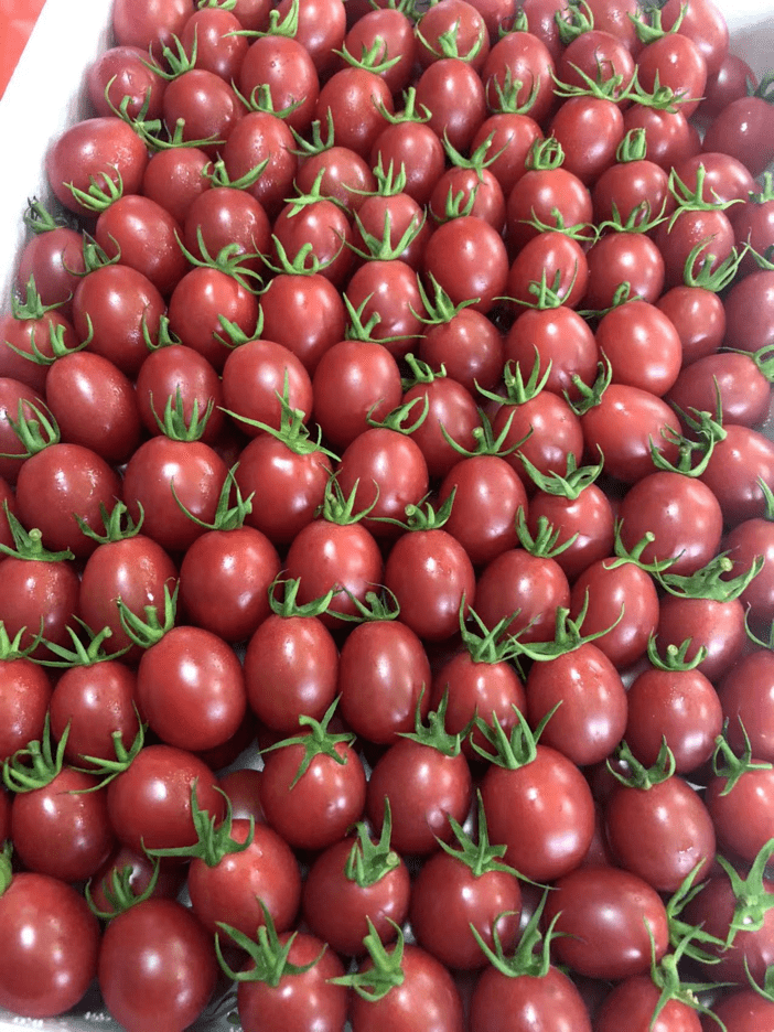 AKaka30564's tweet photo. Just tried the new organic cherry tomatoes! Bursting with sweet juice, firm texture, and zero sour aftertaste—perfect for salads or snacks.  10/10 would buy again!， https://t.co/bi96dBqCrW