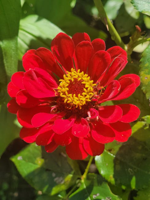 EdgarPoonh2's tweet photo. أجمل عندما النهار يعطي الأمل في الحياة تصبح عبر الغد الأيام. lilian vermeer🥺 https://t.co/oVTUaFPlLH