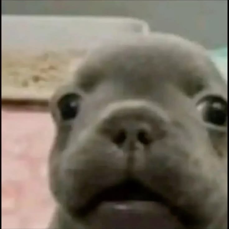 Skylar_beibi's tweet photo. No les pasa que les gusta lavarse el pelo pero al mismo tiempo no pork cuando sales estas sudada y mojada, entonces te secas y ahora el agua del pelo te esta bajando por la espalda y al mismo tiempo sigues sudando y es feisimo? No? Solo a mi? Ok https://t.co/Q7ls2drwE2