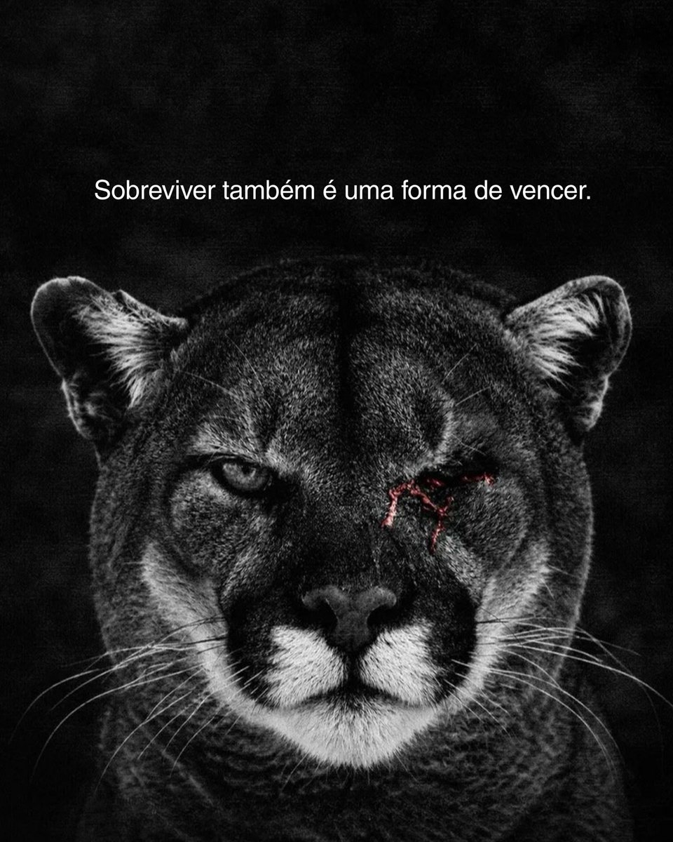 mensagemdepoder's tweet photo. https://t.co/EU84Fmlhb2