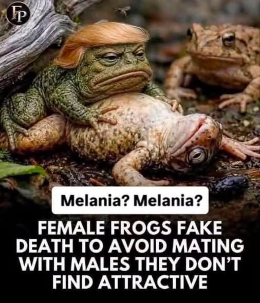 wildwahine808's tweet photo. https://t.co/riCZicJKbR