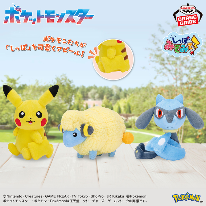 _pokemon_info's tweet photo. 2026年9月25日（金）より順次登場予定

ポケットモンスター しっぽみてみて！ぬいぐるみ～ピカチュウ・メリープ・リオル～

https://t.co/O7FF9qU6ip https://t.co/Hjxe6KTQqj