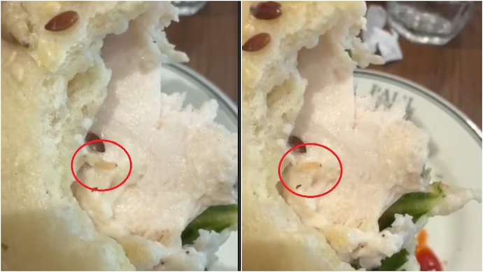 IndiaToday's tweet photo. '𝐖𝐡𝐞𝐫𝐞'𝐬 𝐭𝐡𝐞 𝐚𝐩𝐨𝐥𝐨𝐠𝐲?' 𝐆𝐮𝐫𝐮𝐠𝐫𝐚𝐦'𝐬 𝐏𝐚𝐮𝐥 𝐨𝐮𝐭𝐥𝐞𝐭 𝐟𝐚𝐜𝐞𝐬 𝐟𝐥𝐚𝐤 𝐨𝐯𝐞𝐫 𝐰𝐨𝐫𝐦 𝐢𝐧 𝐬𝐚𝐧𝐝𝐰𝐢𝐜𝐡

PAUL India came under fire after a customer claimed he found a live worm in a sandwich at the French bakery chain's Gurugram outlet. The chain's public statement, which lacked an apology, triggered further questions over accountability and food safety.

Read more: https://t.co/gT3mEIuSo9

#Gurugram #FoodSafety #FoodHygiene