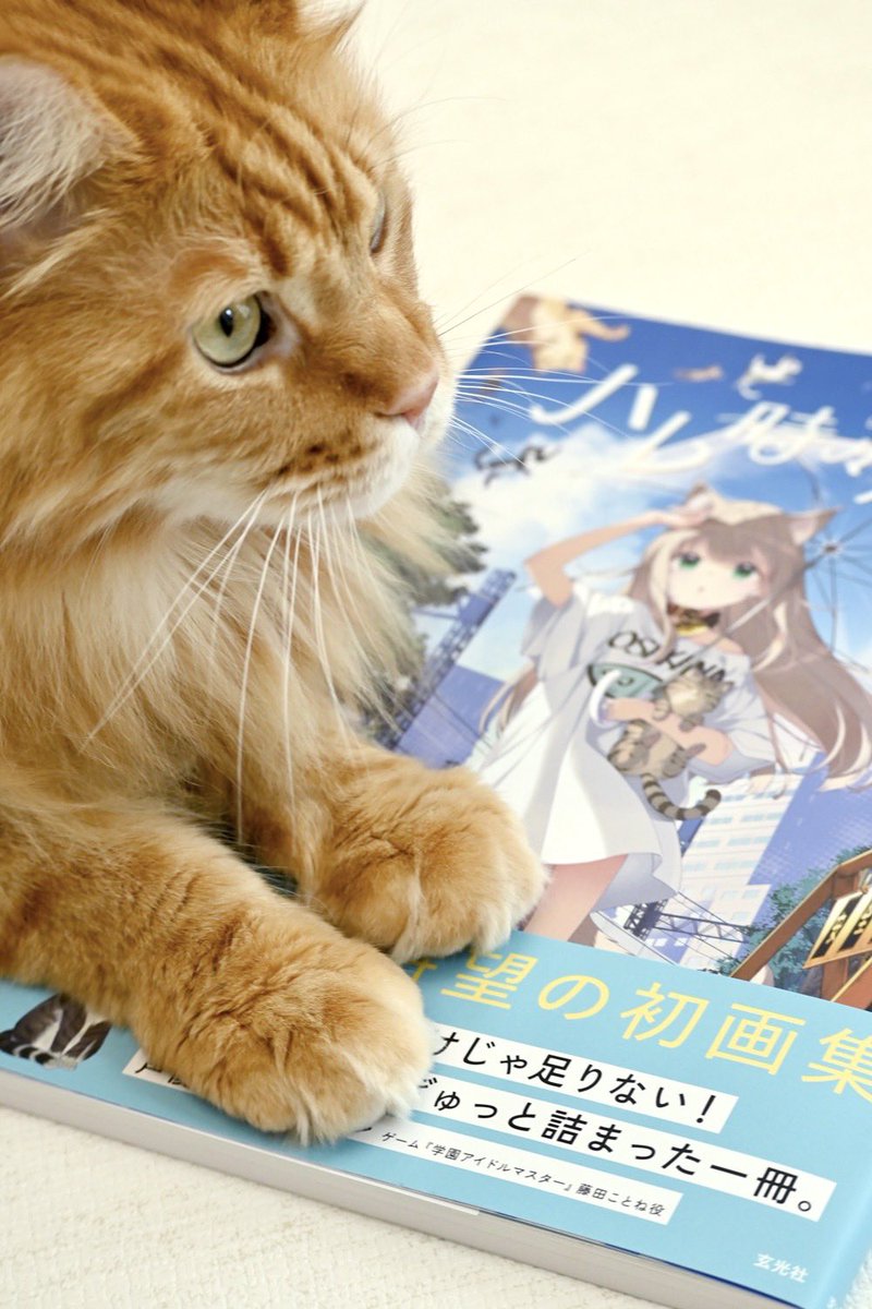 40hara's tweet photo. 画集の献本が届いたよ！🐈🌈

きなこと一緒に記念撮影📸٩( ‘ω’ )و

そして帯には、声優の飯田ヒカルさん(@Iida_Hikaru_828)より素敵な推薦コメントをお寄せいただきました！🐾
お忙しい中ありがとうございます🙏🙇‍♂️

ぜひ書店にて帯付きでゲットしてね���✨ https://t.co/HqIFVs4vVG