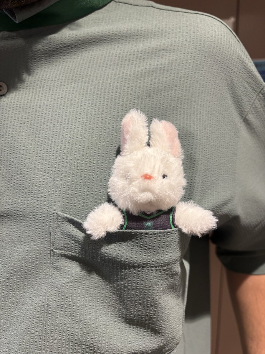 tottei_indies's tweet photo. おやおや👀
新しい商品のサンプルが…🐰✨

 #神戸ストークス
@STORKS_OFFICIAL https://t.co/XnJDZ8MWLR