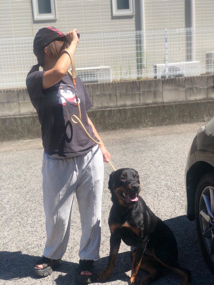 pucci0413's tweet photo. 動物病院🐶

#ロットワイラー
#広島エステ
#大型犬のいるくらし https://t.co/suRwWE2z1K