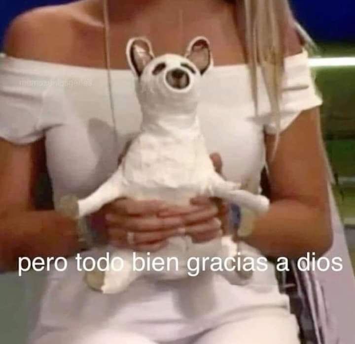 pampchk's tweet photo. @_dxnllO pero amiga estás bien?😔😔 https://t.co/wnmQvx3bPc