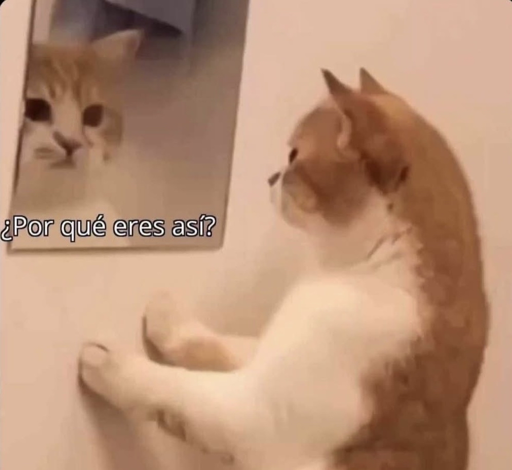 Guarromantico_'s tweet photo. Cuando digo que ahora sí me dormiré temprano para descansar y nuevamente me desvelo viendo cualquier cosa. https://t.co/zuAv5wsjii