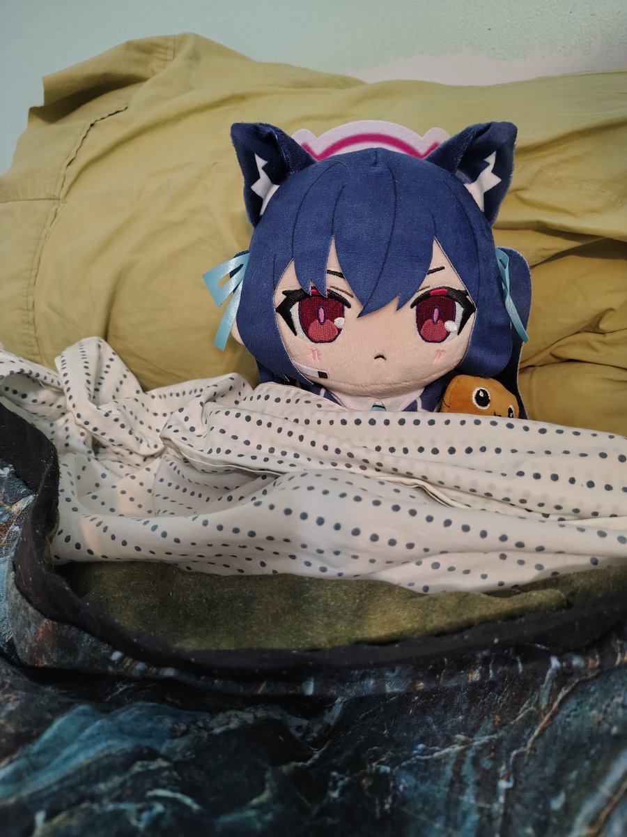 serika_america's tweet photo. Sensei!
Good night, sleep tight!
#ブルアカぬいぬい部 https://t.co/kqksKBt6yC