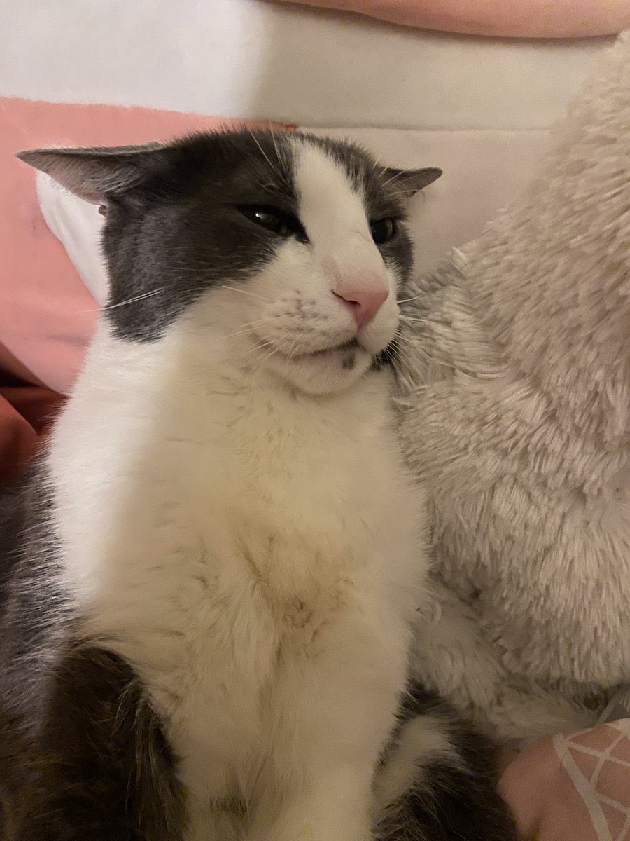 Weedlord_Boner's tweet photo. this guy’s a gangster? his real name is caesar https://t.co/ABDYxjwH5k