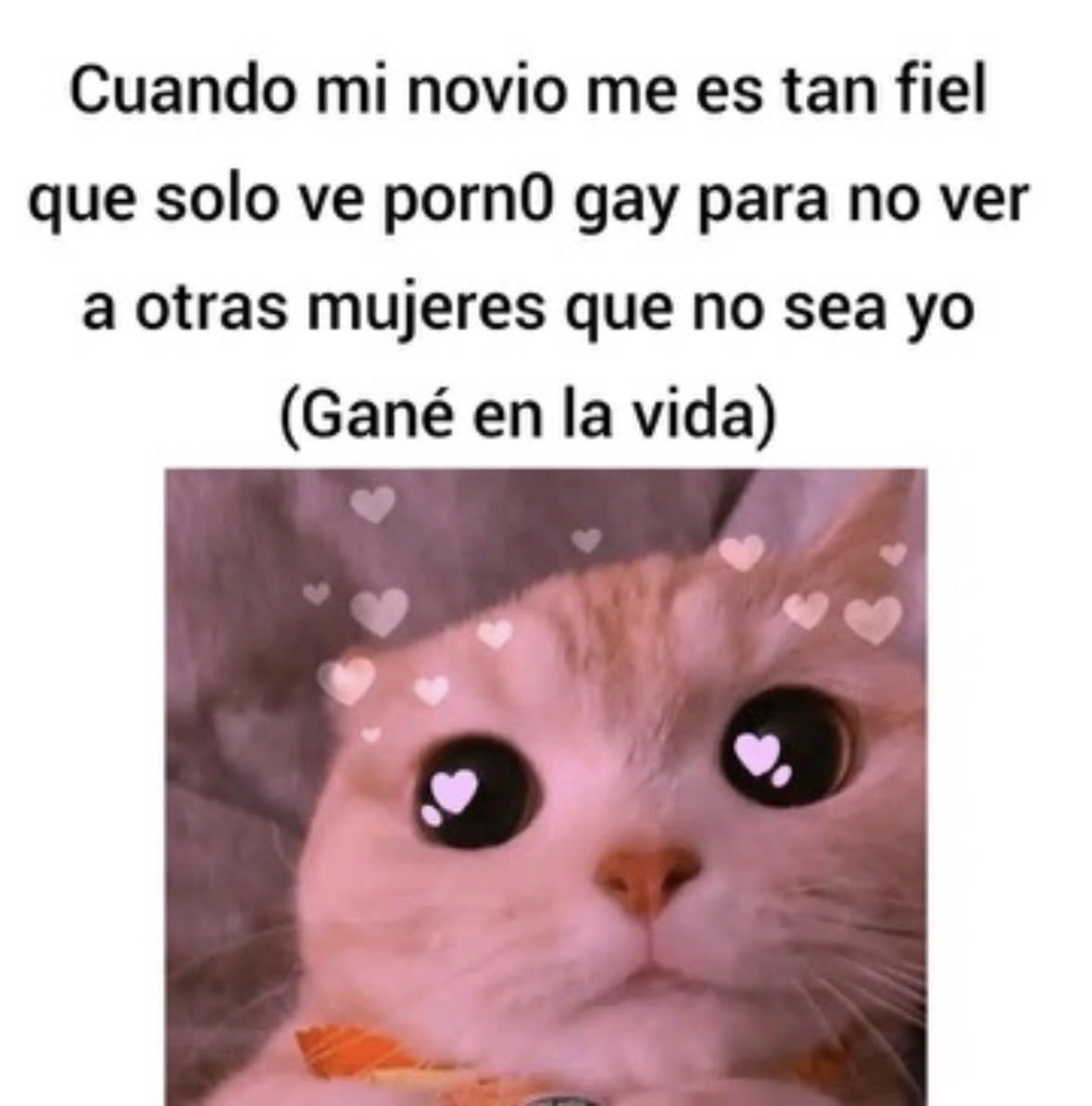 dani_abcdefghxd's tweet photo. Encontré la solución a sus inseguridades https://t.co/IPYm9bS6uT