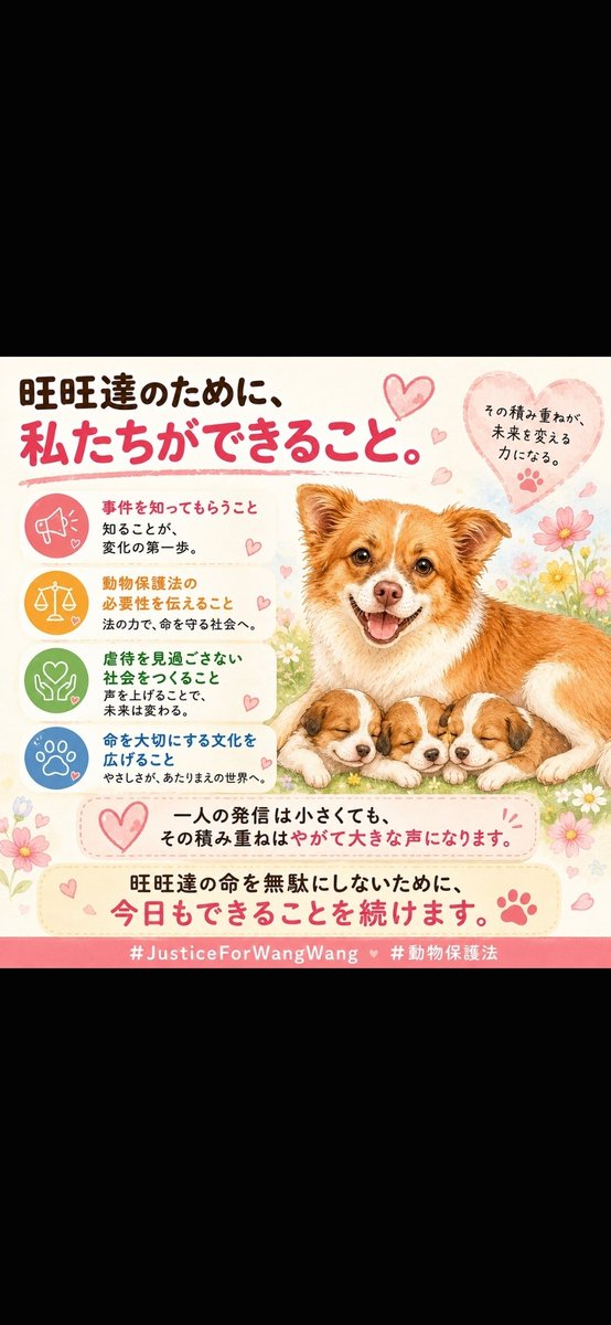 CaiTian87200's tweet photo. 旺旺ちゃん親子の事件がニュースになっています。KYODO、愛媛新聞online、中央日報日本語版、京都新聞DIGITAL等です。よかったです。
#JusticeForWangWang #justiceforherpuppies #StopAnimalCruelty #ChinaAnimalProtectionLaw
#AnimalProtection
#APEC2026
#Jieyang
#拡散希望
#PleaseShare https://t.co/yt4Qn0BugA