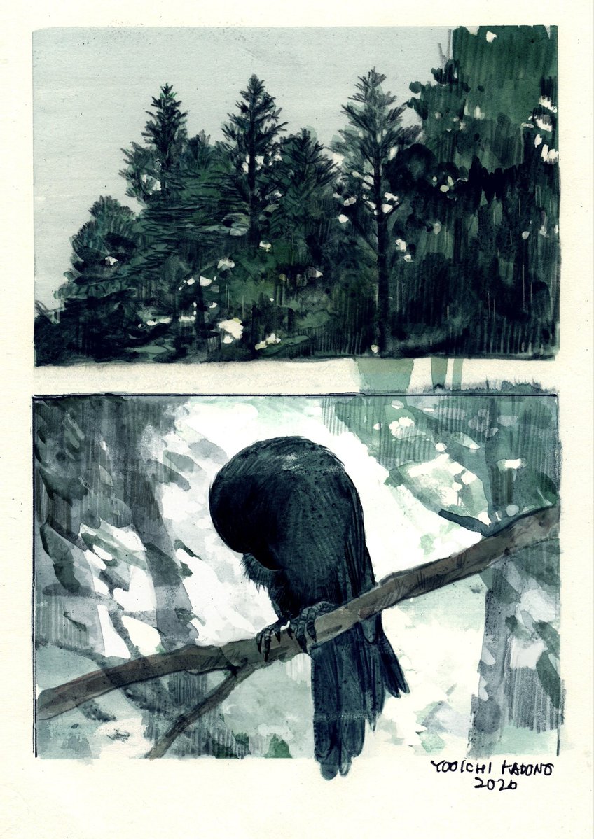 kadonoyoo's tweet photo. 🌲 https://t.co/0wtJm13mlN