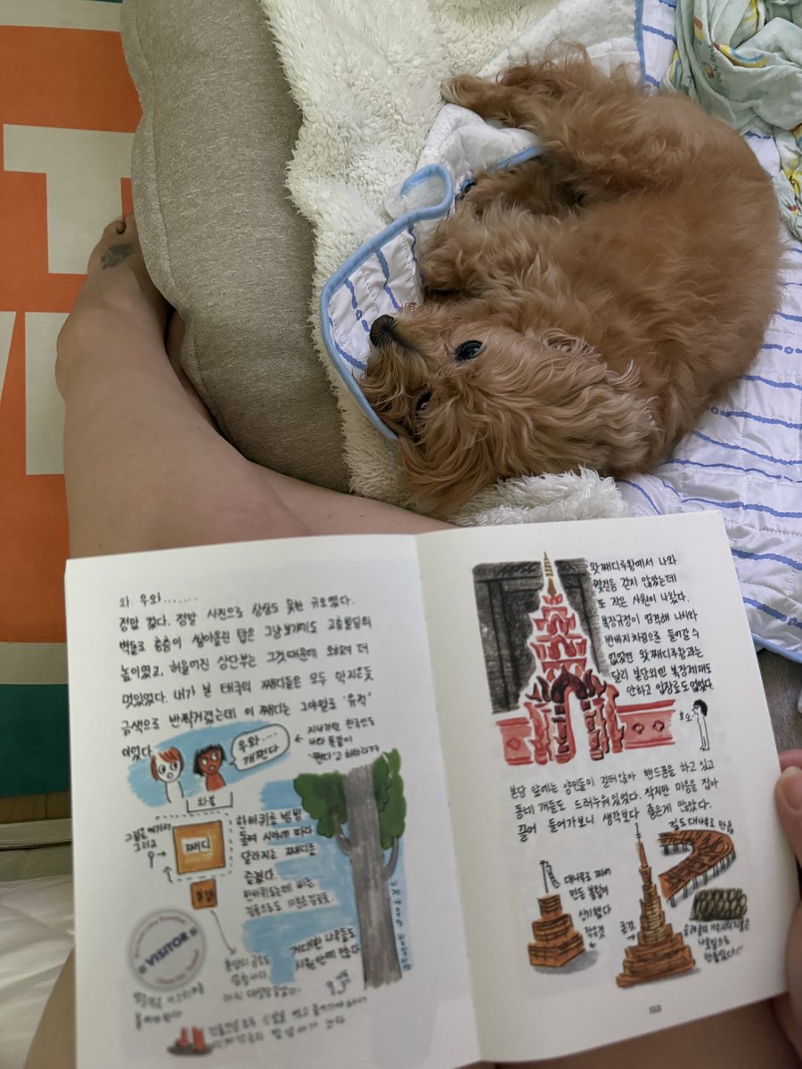 glass0603's tweet photo. 혹시 강아지들한테 책 읽어주나요??
나 얘 어릴때부터 책을 읽어줌ㅋㅋㅋㅋ
알아듣나 못알아듣나 중요하진 않음.
그냥 책읽으면서 좋은 이야기있으면 읽어주고 개는 또 가만히 듣고있음.
오늘은 여행이야기를 해주고있음.
태국이 얼마나 재밌는곳인지.
방콕은 얼마나 복잡하고 재밌는지 https://t.co/vUGwngeYbu