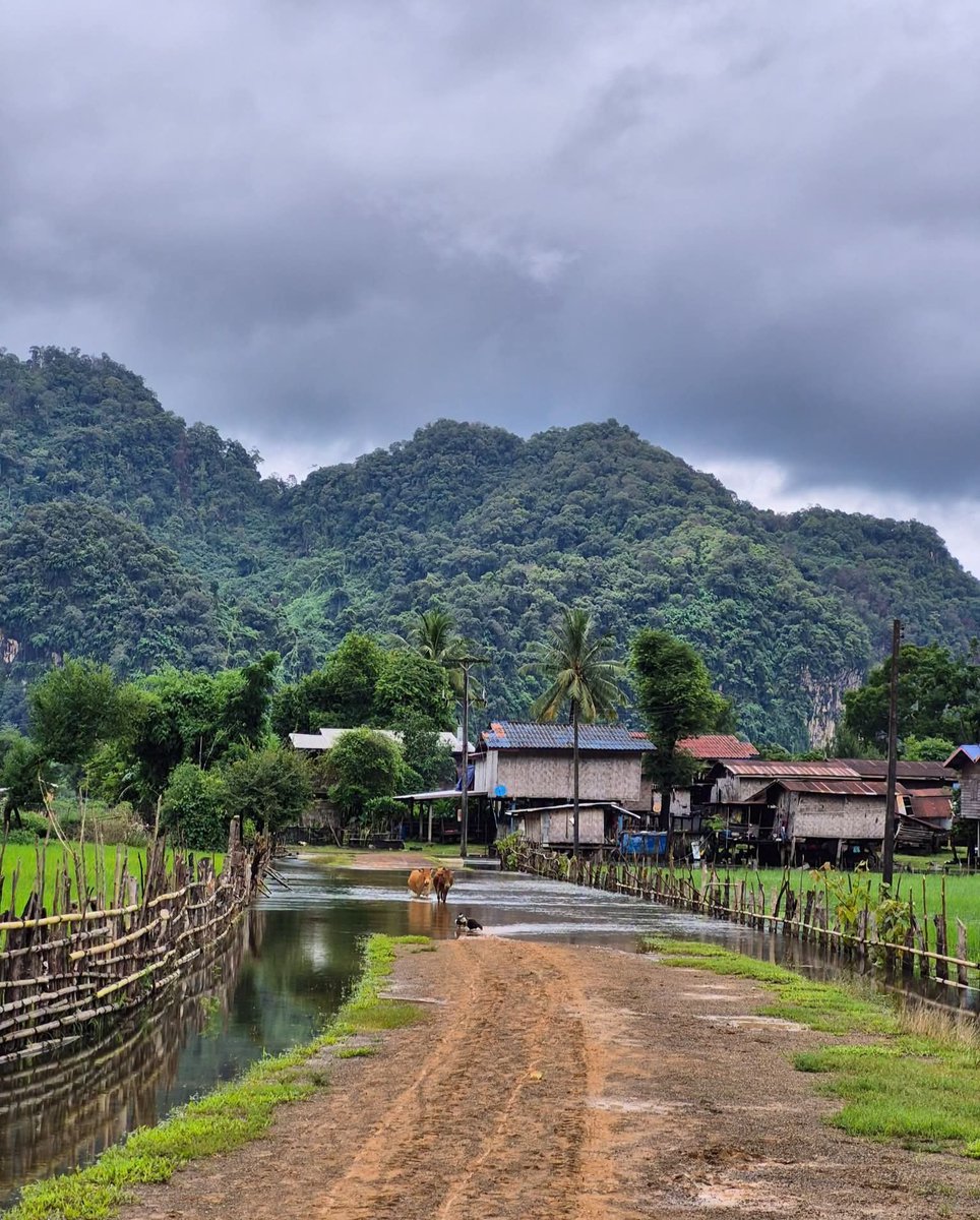 Simthisom1's tweet photo. #laos https://t.co/5J6KEZlNAn