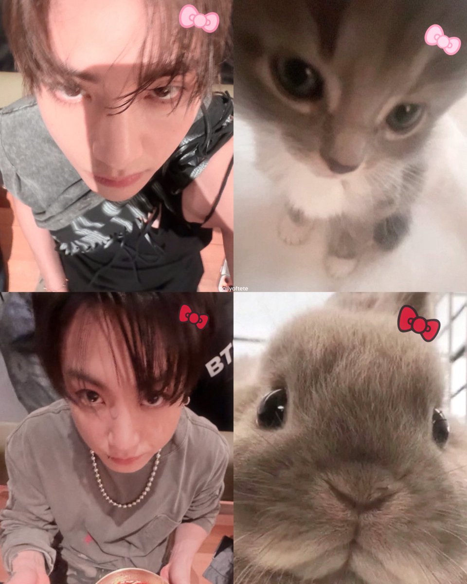 dailyoftete's tweet photo. they are just babies https://t.co/FwPHE2o5YC
