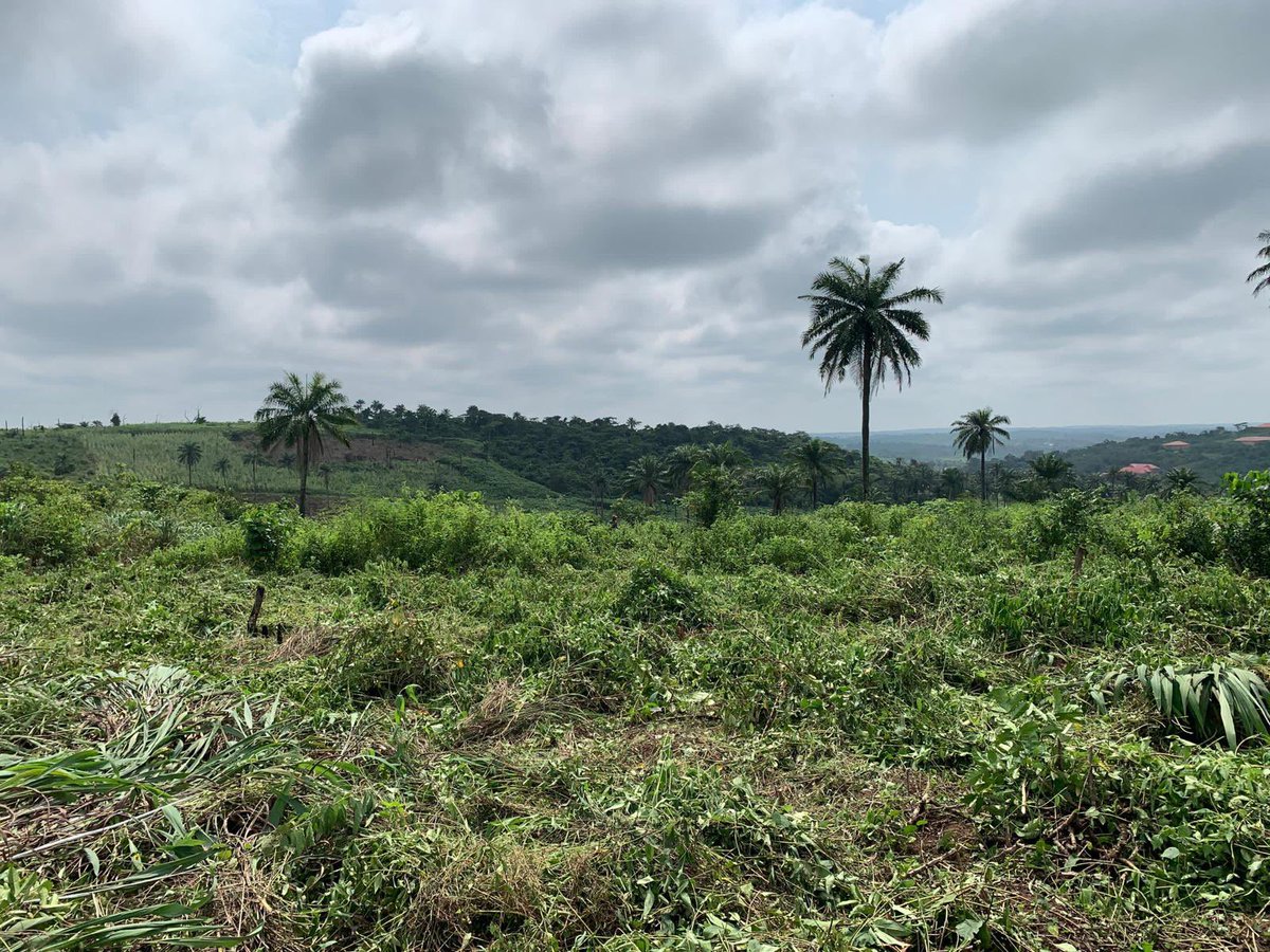 vangeorgh's tweet photo. That’s pretty much what we’re doing for a client on this 62-acre property in Kobape, Ogun State. 

It’s in a secluded location so you have all the privacy you need and it’s less than 1hr from Ikoyi.

More details on the project below: https://t.co/Y7KQCsx53P