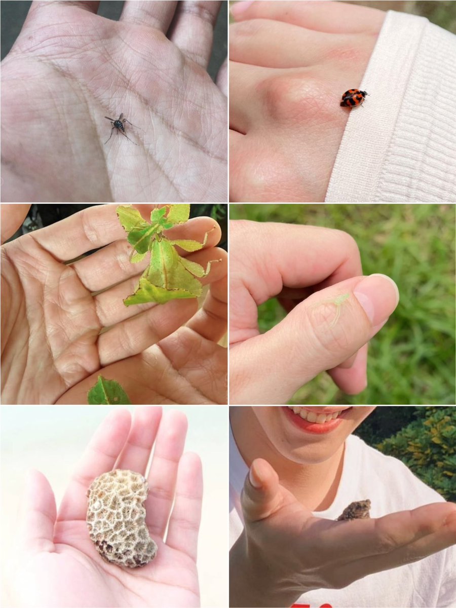 yaninini4's tweet photo. Small World on the War’s Palm
集邮

@warwanarat #warwanarat #หยิ่นวอร์ 

🪸🌾💐🌷🌸🪲🪰🐛🦋🐞🐝 https://t.co/ZPdSeBsvn9
