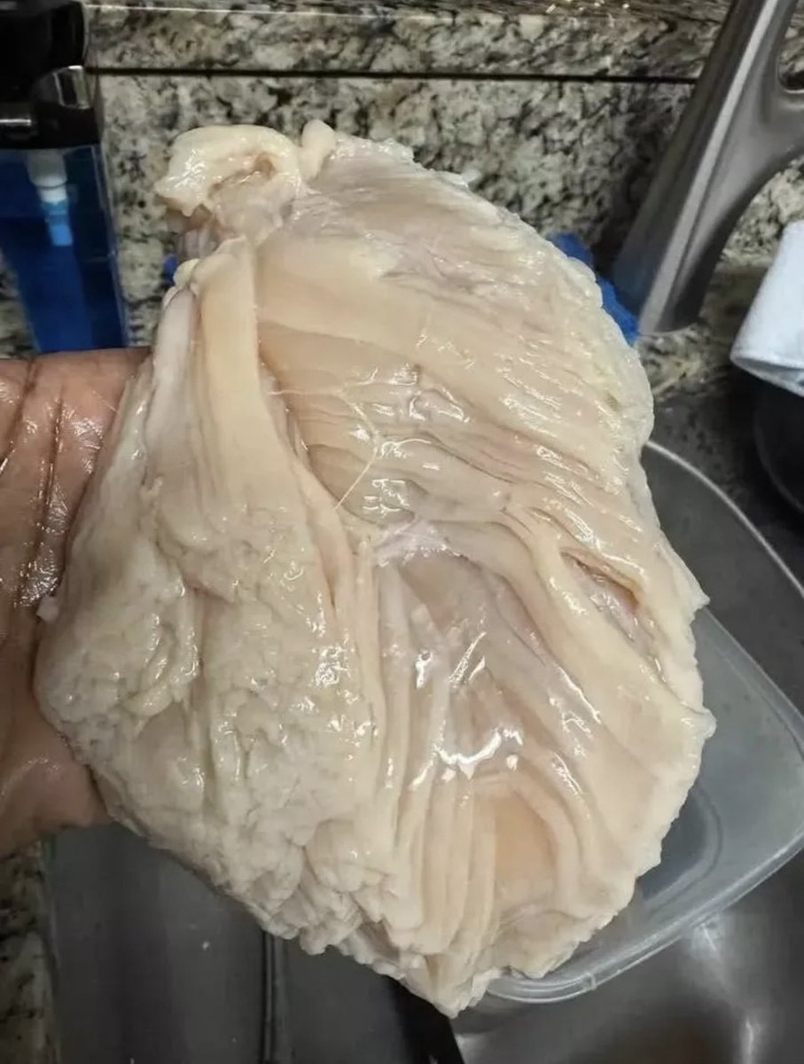eeennn80's tweet photo. اشتريت صدر دجاج من سوبر ماركت معروف، ولما رجعت البيت وفتحت العلبة انصدمت من اللي شفته 😭 ما قدرت أحدد هل الدجاج طبيعي وصالح للأكل أو إنه خربان.

وش رايكم؟ آكله ولا أرميه أحسن؟ 🤔 https://t.co/omIkzOi3YR