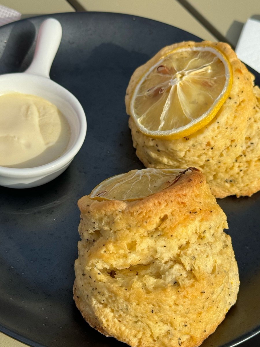 TGizzle12's tweet photo. Just pulled the fluffiest vanilla lemon scones out of the oven—warm, zesty, and perfect with a morning coffee! What’s your go-to baked treat for cozy mornings https://t.co/PeGMZ7jXG0