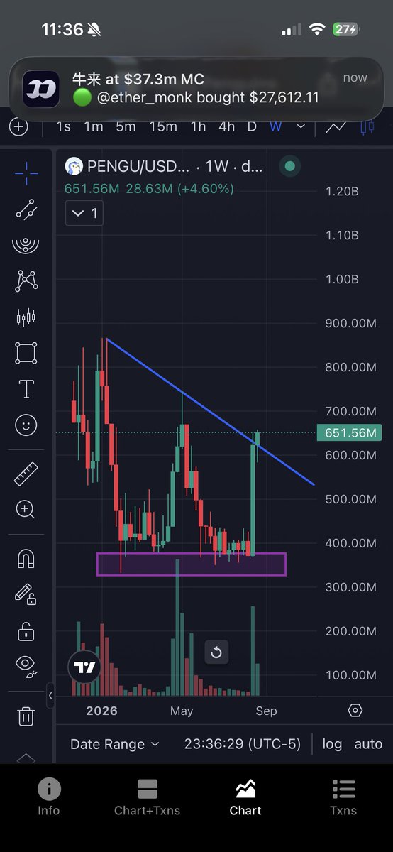 Jasonthesis's tweet photo. $PENGU will win the memecoin cycle https://t.co/YQDqMoUUHR