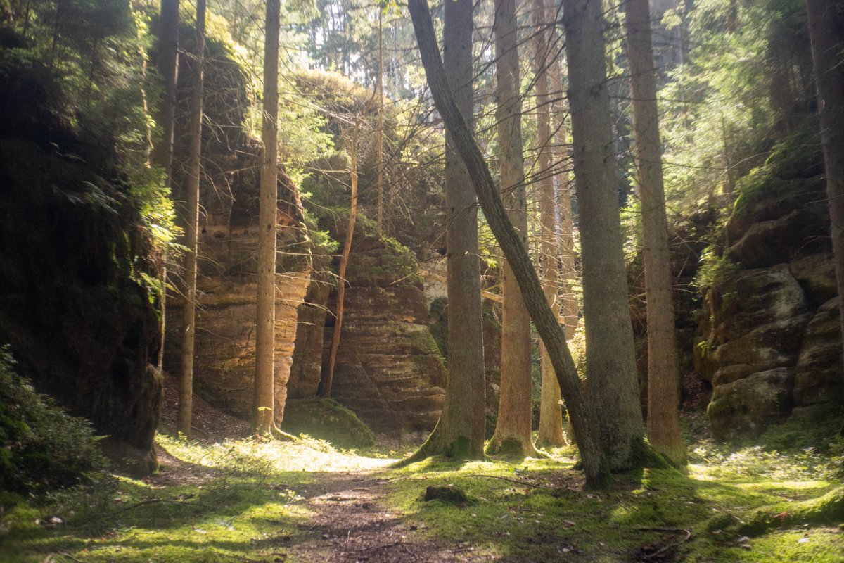 KingdomCompare's tweet photo. I spent the last two days capturing the Trosky region panos in the Bohemian Paradise. Now a couple of days in Prague and then back home to finish the Sasau region.
#kcd https://t.co/HtPSYKCKID