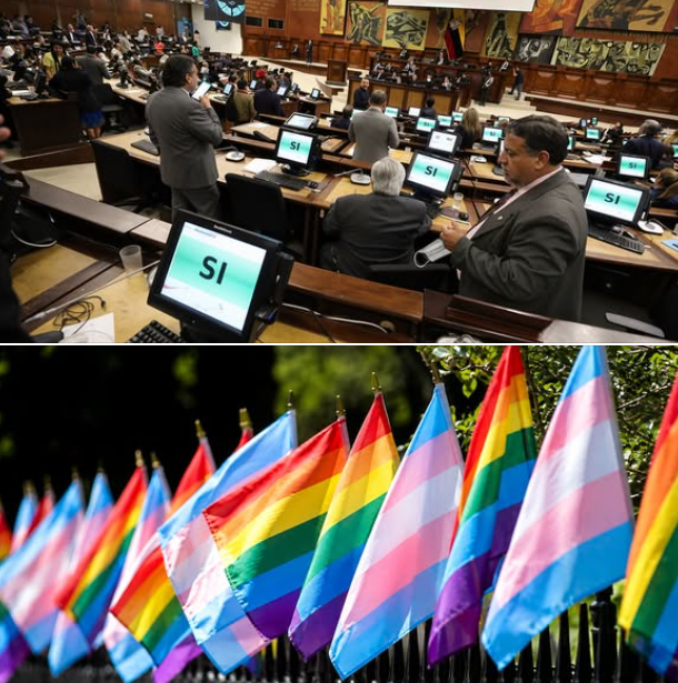 RedDiversidad's tweet photo. Padres que apoyen a hijos Trans perderán patria potestad en Ecuador.

La nueva ley de adopciones establece expresamente que ningun adulto que funja como tutor debe permitirles que transicionen, aún cuando así lo recomiendan instituciones serias en materia de salud mental. Hilo. https://t.co/Xyv8zUbGdG