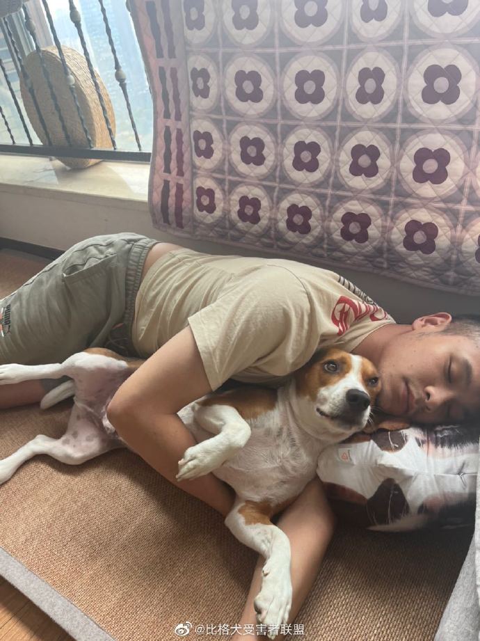 studiojiggly1's tweet photo. Nothing beats the quiet joy of a lazy afternoon curled up with my fluffy fur baby  Small paws, big heart, endless snuggles—best companion I could ask for. https://t.co/0McrN8y98L