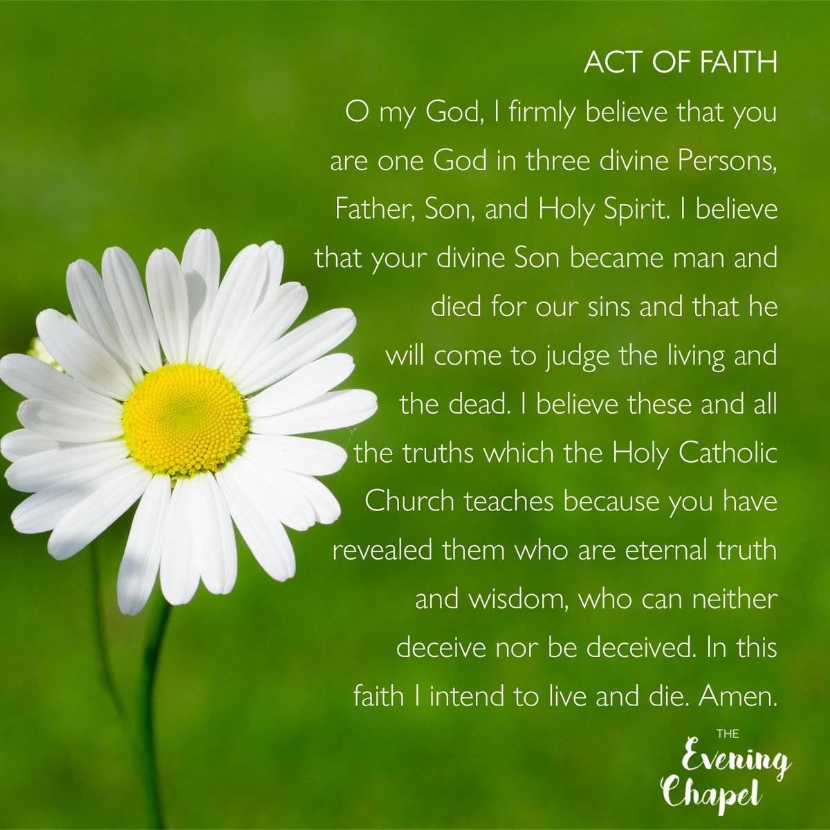 EveningChapel's tweet photo. #TEC #TheEveningChapel #Dailydedication #ActofFaith https://t.co/hZh9bW5WoM