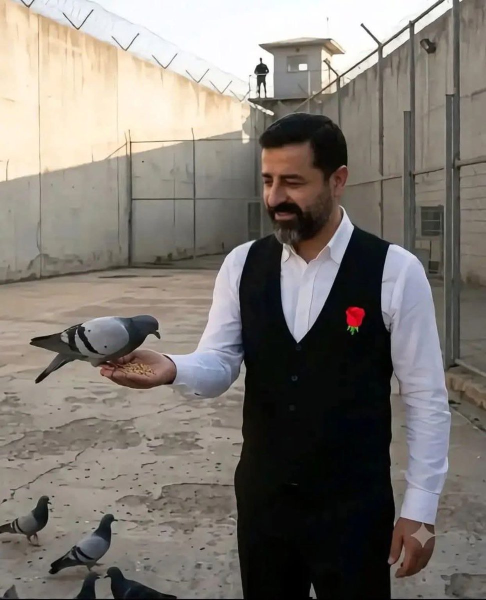 mehmetgunaydin8's tweet photo. Sayın Selahattin Demirtaş ı serbest bırakın❤️👏✌️🙏 https://t.co/wHzoNzMywR