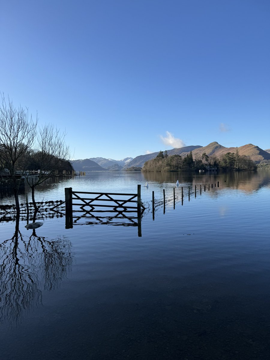 phil_d13's tweet photo. Day 677 #DerwentDaily 👋😀

Winter #Twosday at Derwentwater 🦢🦢👀😆 https://t.co/deLXAXAaJc