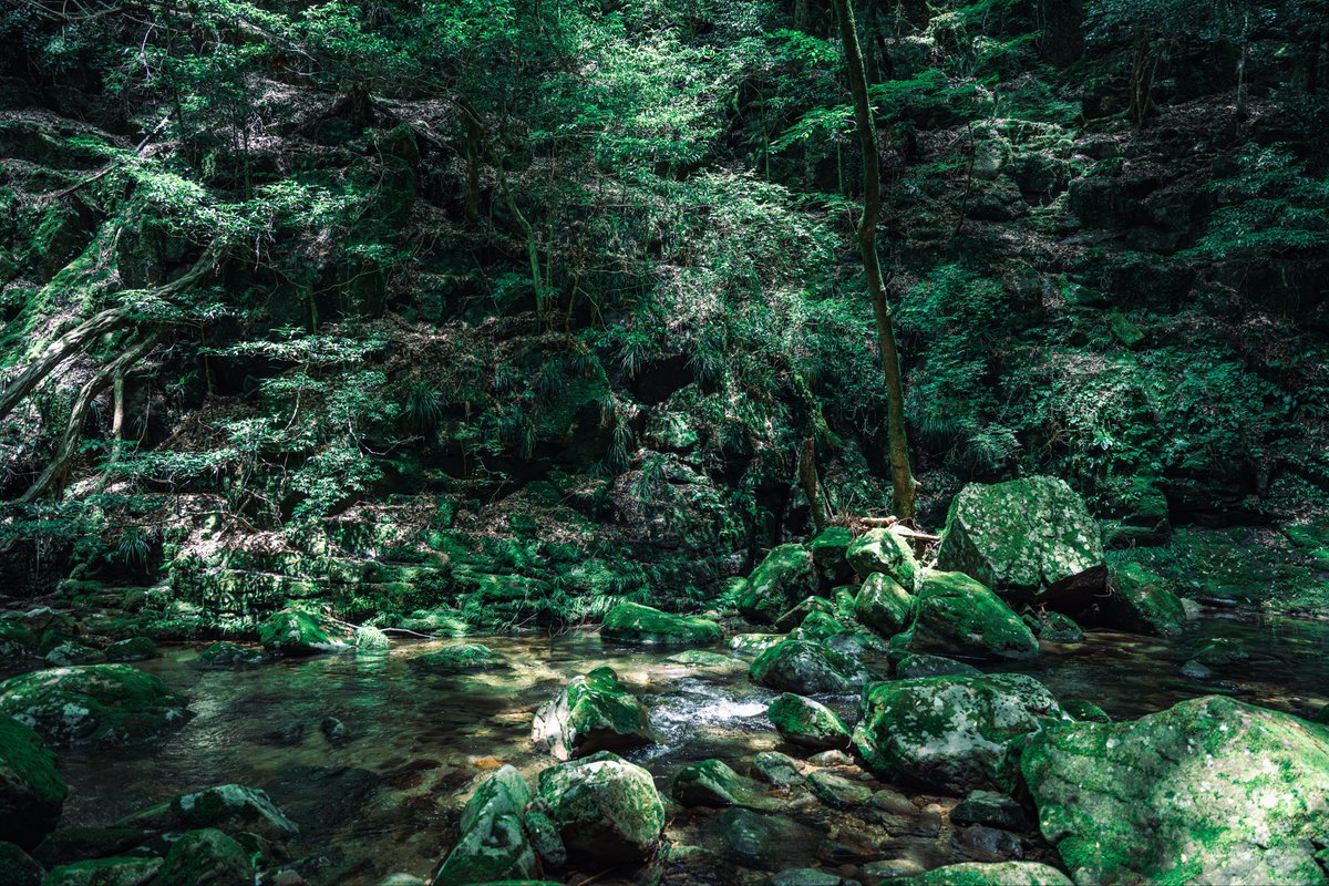 hoshigasaki_'s tweet photo. 自然の緑が創る絶景 https://t.co/zhRUyRpcTQ
