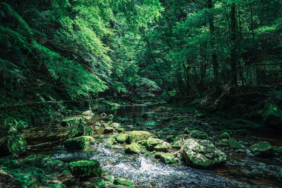 hoshigasaki_'s tweet photo. 自然の緑が創る絶景 https://t.co/zhRUyRpcTQ