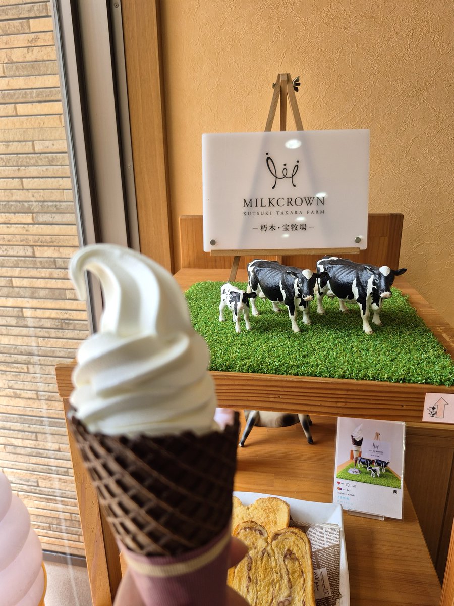Shinsei_Shiga's tweet photo. 皆さま本日もお疲れさまでした🍵
むしろ桃 ( ´艸｀*)🍑
では滋賀の涼スイーツ推しに乗っかって😊

新旭事業部の4名が先週末、猛暑を避けて朝6時台から朽木のゴルフコースを回ってたらしいです。
早朝スタートとはいえ終わる頃にはみんなバテバテ☀💦
宝牧場のソフトクリーム、牛乳感しっかりで美味ですよね🤤火照った身体にさぞや沁み渡ったことでしょう🍦

#企業公式がお疲れ様を言い合う
#宝牧場　#しぼりたて工房
