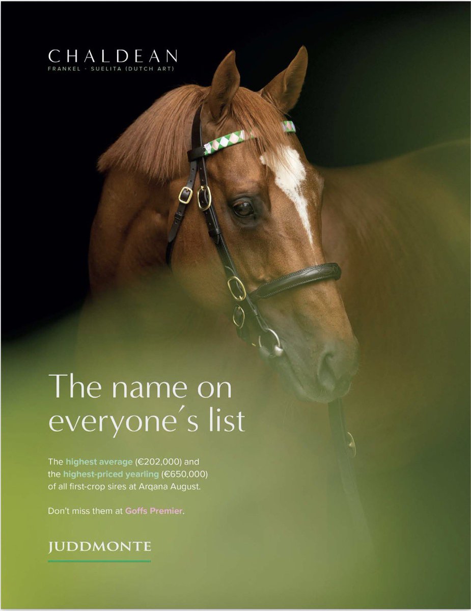 theTDN's tweet photo. 📋The name on everyone’s list 

Chaldean - The highest average (€202,000) and the highest-priced yearling (€650,000) of all first-crop sires at Arqana August.

Don't miss them at Goffs Premier. https://t.co/TU6BGqZlBW