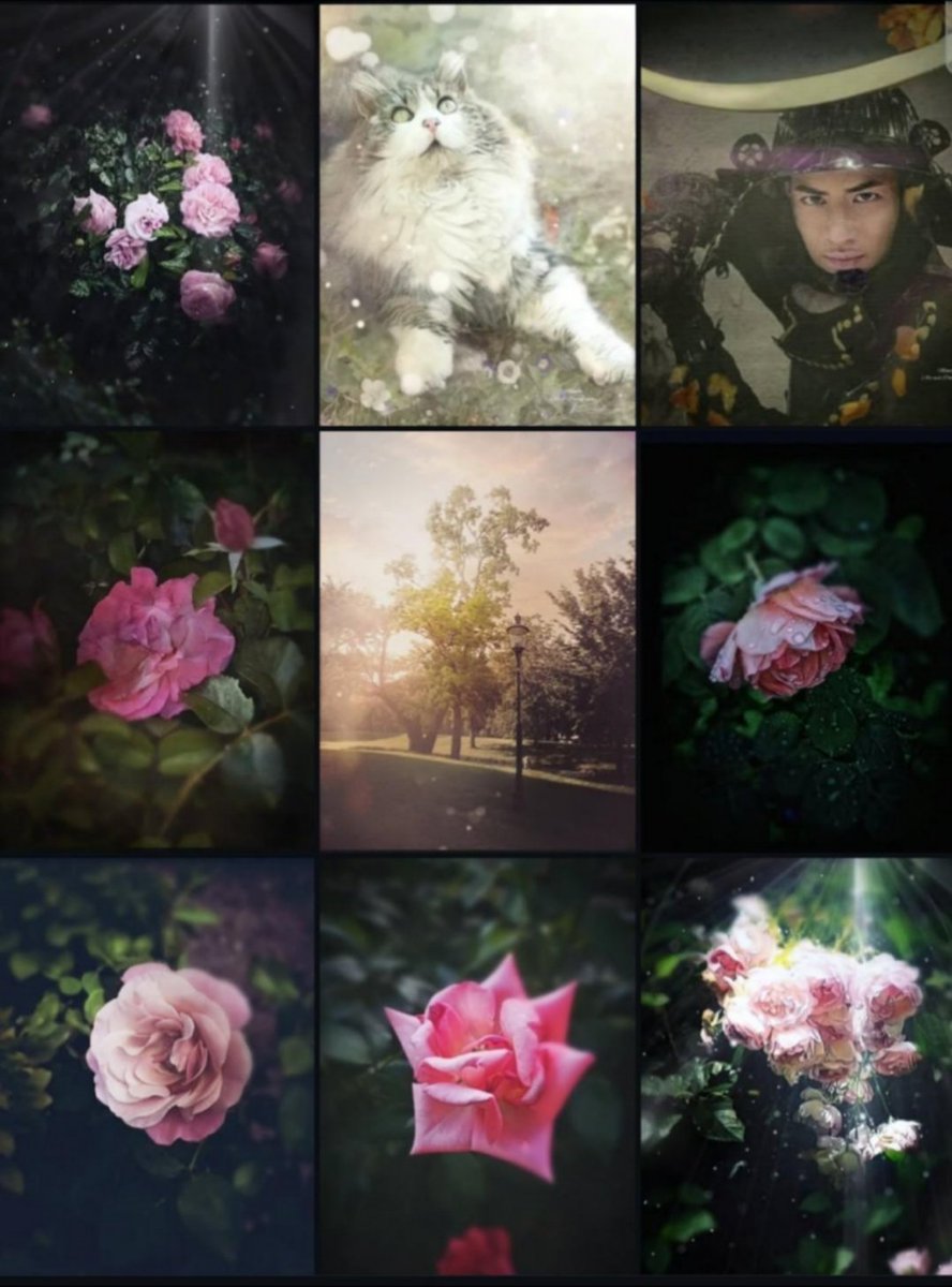 i_mikalin's tweet photo. Instagram ✰ https://t.co/UzsBfOeb12