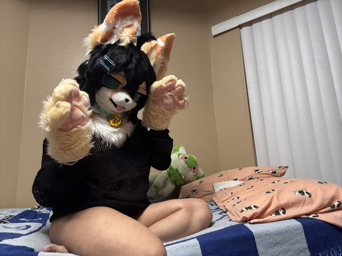 FloofMari's tweet photo. Still editing some content,,,, so have these lazy pics rrrfff https://t.co/Q1N6FKdzEU