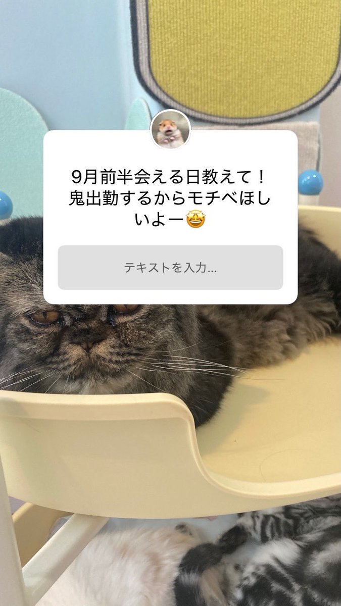 chacha_devils's tweet photo. 教えてくれると助かりまくる https://t.co/xCBgMK7Myw