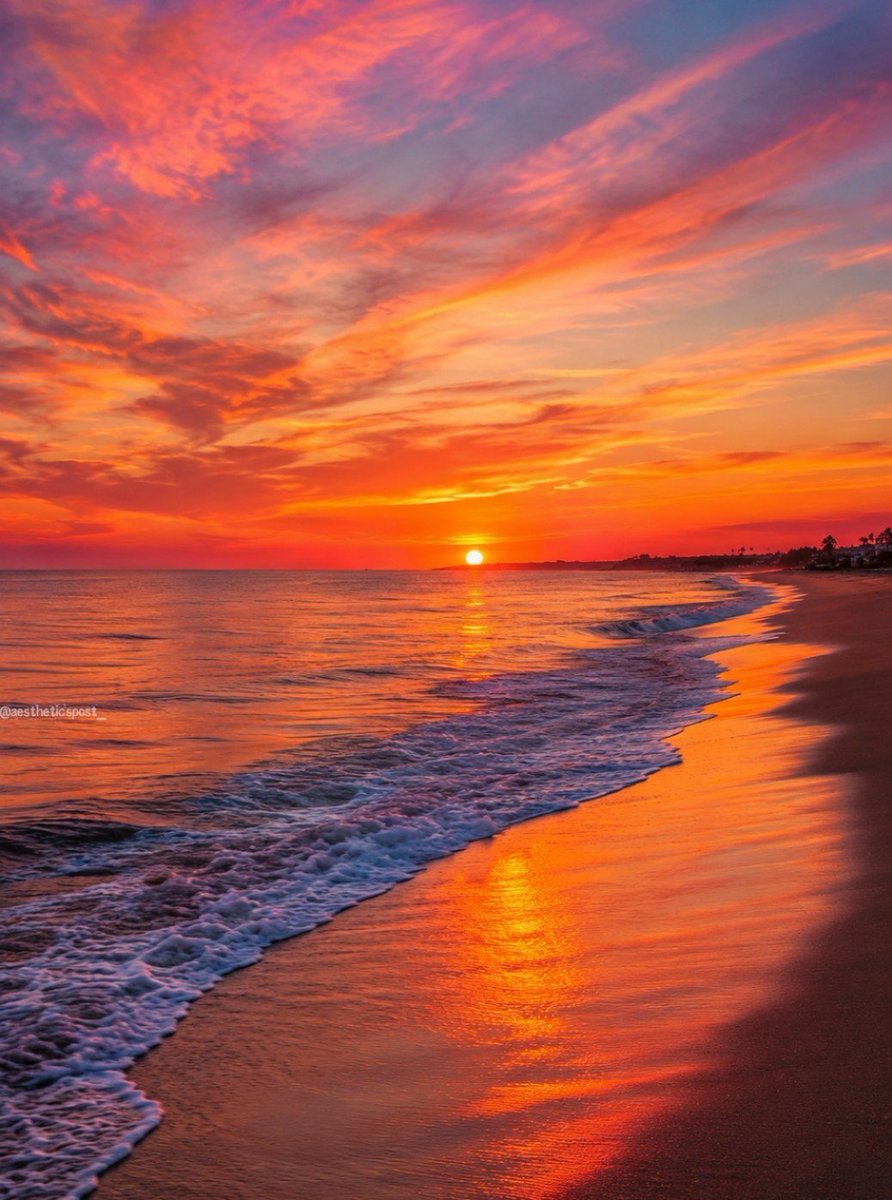 aestheticspost_'s tweet photo. Vibrant sunset. https://t.co/7k466g75RY
